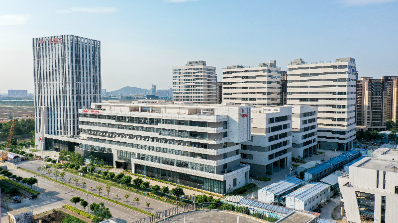 全面恢复通关后香港考察“天团”为何来这里？广州南沙给出了答案