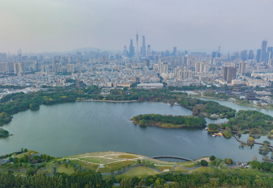 5月22日是国际生物多样性日。湿地具有涵养水源、调节气候、维持碳循环等极为重要的生态功能，是生物多样性的重要发源地之一。粤港澳大湾区拥有多个湿地公园，优质的生态环境为各种生物提供了生存繁衍空间，对维护生物多样性起到积极意义。广州海珠国家湿地公园是全国特大城市中心区域面积最大的湿地公园，目前湿地率达79.4%，鸟类种类从72种增加到187种，昆虫种类从66种增加值738种，鱼类从36种增加到64种。图为广州海珠湿地公园。