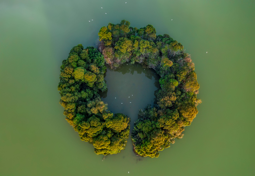佛山三水云东海国家湿地公园坐落于珠三角腹地，总面积超过400公顷，是佛山市国家森林城市建设的重点工程，也是佛山市湿地体系中“三江汇流”保育区的湿地生态景观核心和珠三角地区鸟类迁徙的重要节点。湖水潋滟、植被茂盛，月亮湖湖心环形小岛吸引了上千只鹭鸟在此集聚栖息。图为佛山三水云东海国家湿地公园。