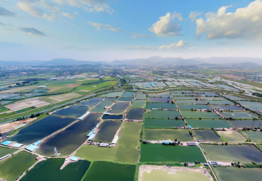 潼湖湿地是广东省最大且极少的典型内陆淡水湖泊湿地，包含了4个湿地类型：湖泊湿地、河流湿地、基塘湿地和水库湿地，这在广东省内十分难得，是候鸟迁徙重要停歇地和栖息地。图为惠州潼湖国家湿地公园。