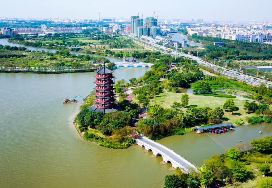 在东莞，华阳湖经过数年整治，完成了从“污染重灾区”到“湿地公园”的美丽蜕变，东莞麻涌华阳湖国家湿地公园更是以优美的风光和环境成为了东莞旅游的一张亮丽名片，吸引了白鹭、夜游鹤、野鸭等一大批水鸟重归这片栖息地。图为东莞麻涌华阳湖国家湿地公园。