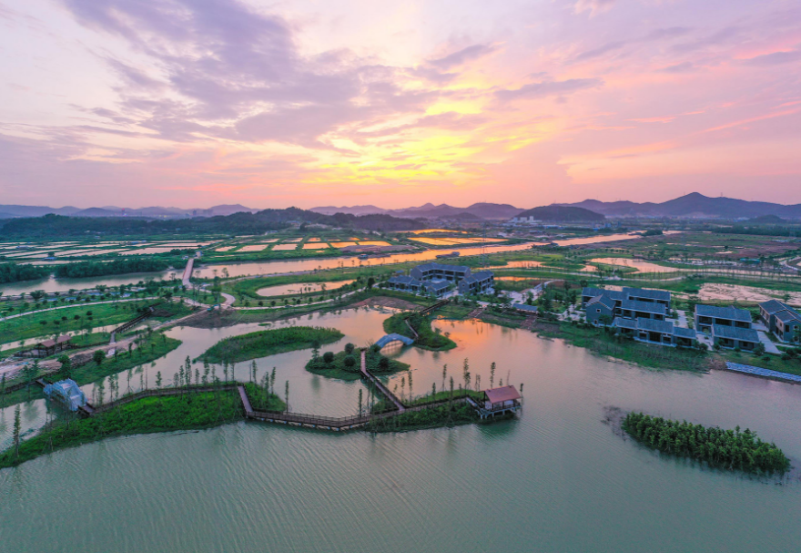 在中山翠亨国家湿地公园，红树林同样是一道靓丽的风景线，在黄昏时分，公园里“秋水共长天一色，落霞与孤鹜齐飞”，一派安谧祥和。图为中山翠亨国家湿地公园。