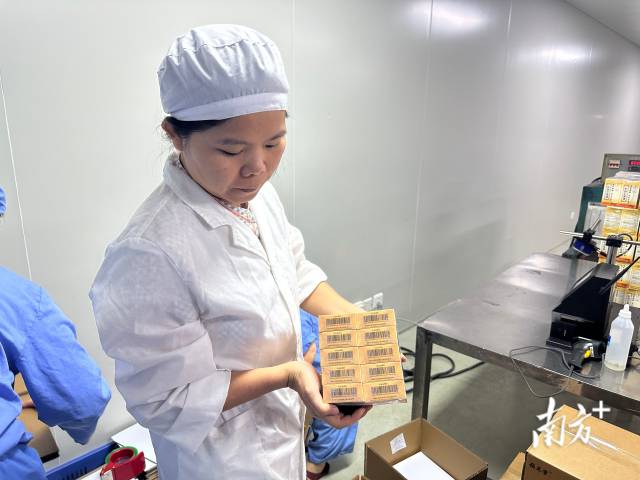 在广东恒健制药有限公司生产车间内，“位元堂”的麝香活络油已完成灌装与包装，赋上药品溯源码后，正式下生产线。