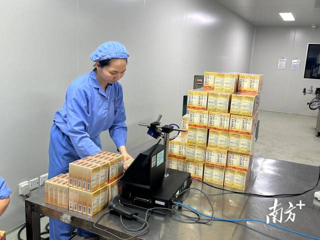 在广东恒健制药有限公司生产车间内，“位元堂”的麝香活络油已完成灌装与包装，赋上药品溯源码后，正式下生产线。