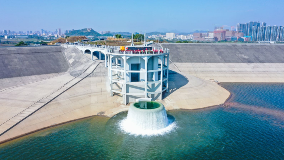 走近大湾区城市群下，水脉延伸的 “巨龙”