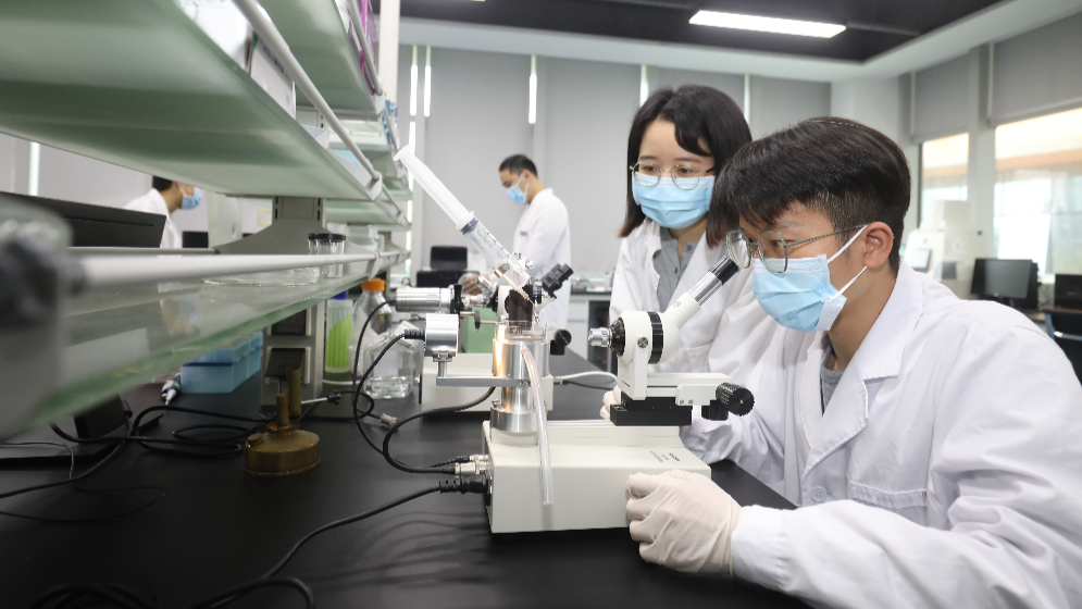 最高1亿元项目资助、保障子女教育！横琴出台人才新政