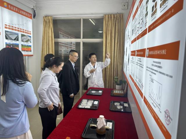 向16家知名企业推广琴澳营商优势，促进区域产业协作发展。