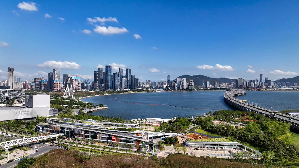 现场签约近300亿元！2024大湾区—东盟经济合作（前海）论坛开幕