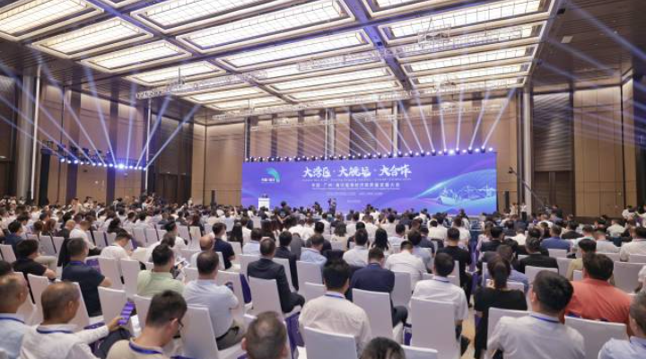 南方观察｜图南六翼，向海图强！200亿投资加码支持南沙开发建设背后