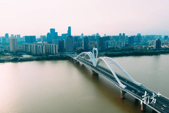 惠州鹅城大桥。